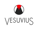 VESUVIUS_Commercial_brand_RGB_Pos